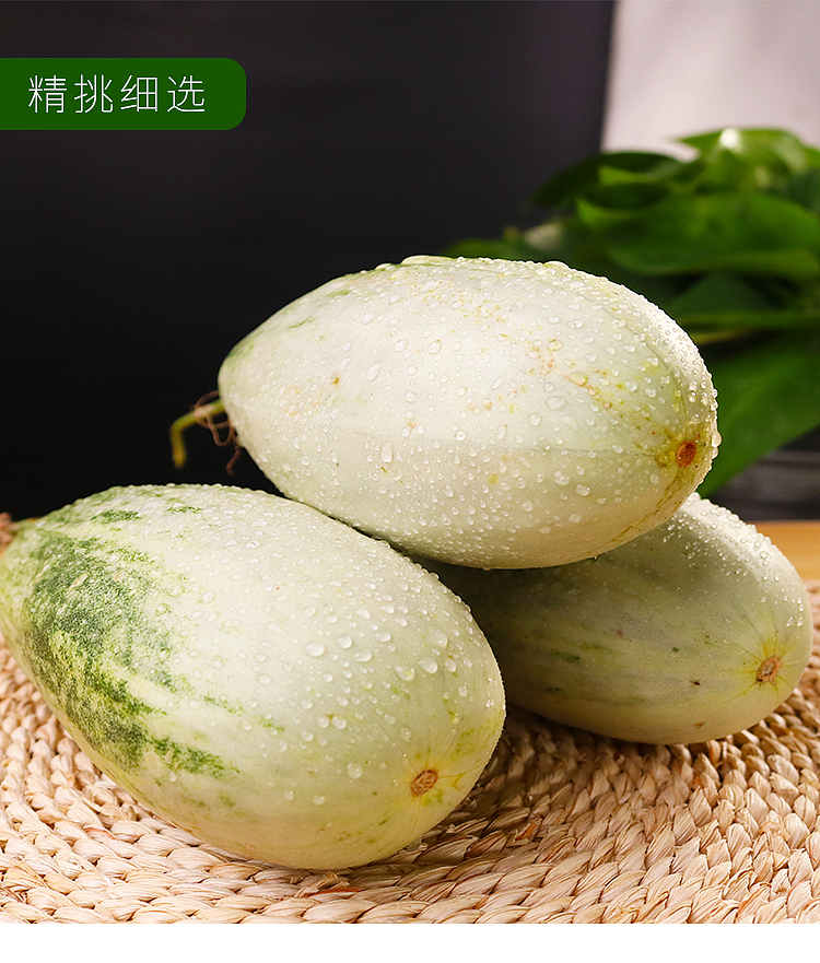 志云网络-羊角蜜瓜