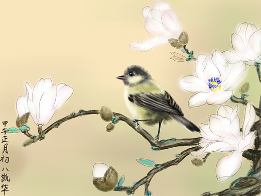 SketchBook Pro for iPad初体验之花鸟设定