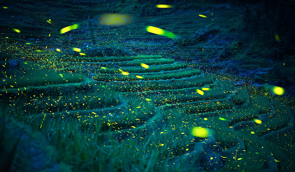 小王子77的个人主页（背景预览） - 主页背景设置 - 站酷设计师小王子77原创素材 - 站酷ZCOOL