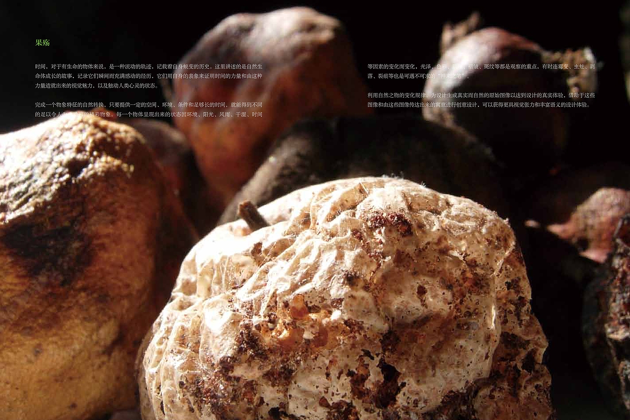 原创一一设计造型语言探索〈蒋志龙把玩平面设计〉