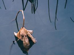 喜欢的摄影作品