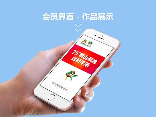 公司宣传手册会员APP界面