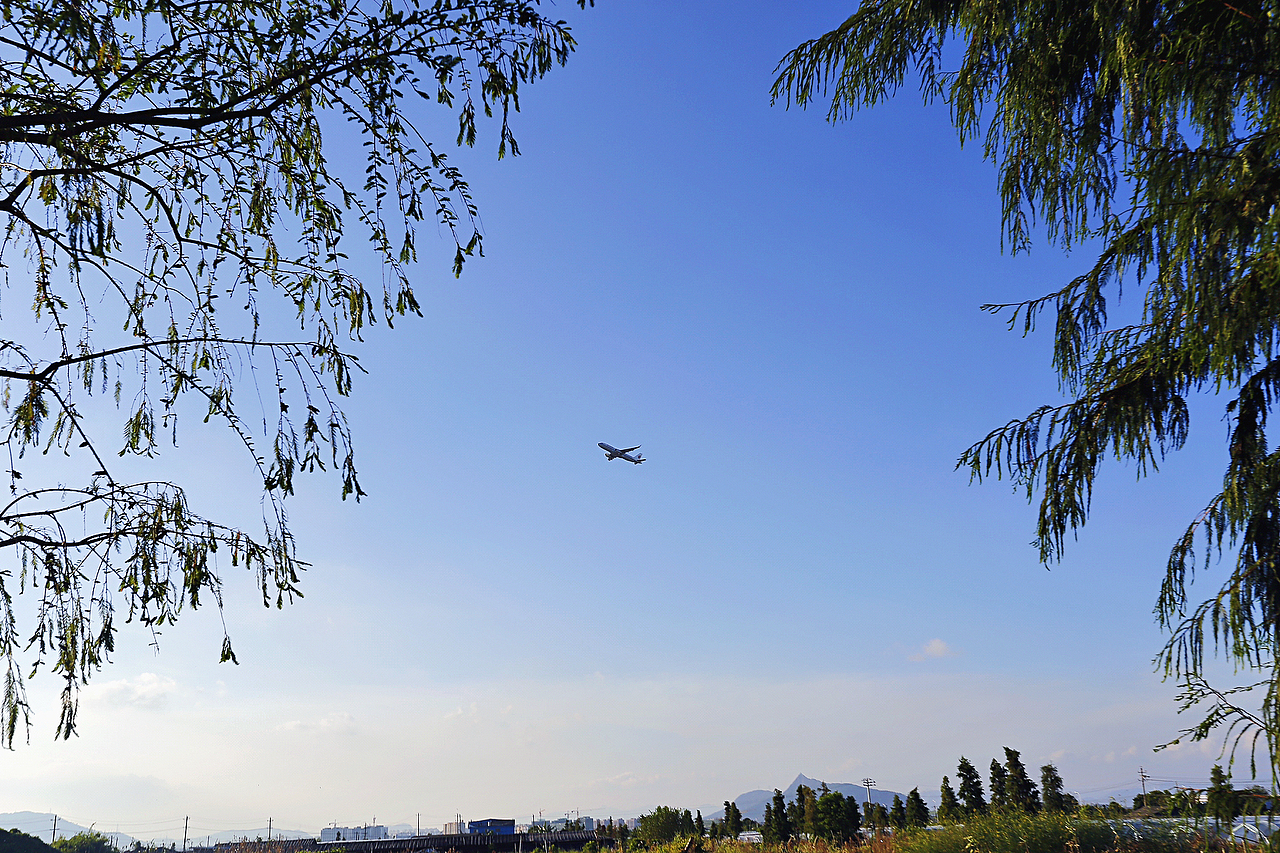 温州机场的飞机