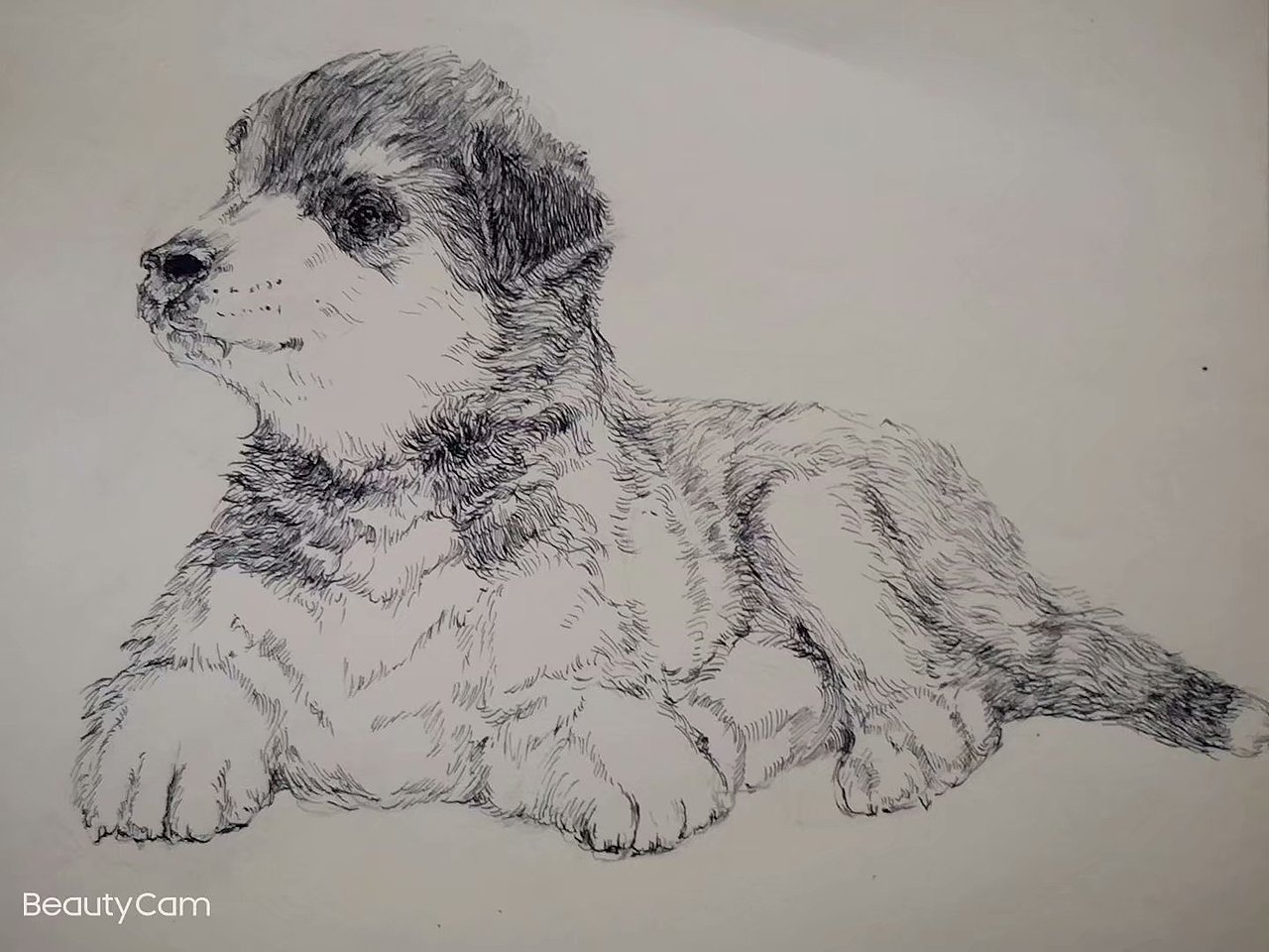 钢笔画练习小结！（图ZMjM0Nzc1NjQw） - 绘画 - 站酷设计师刘月春原创素材 - 站酷ZCOOL