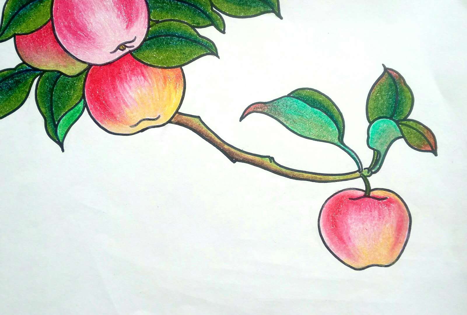 幼儿园画苹果图片大全图片