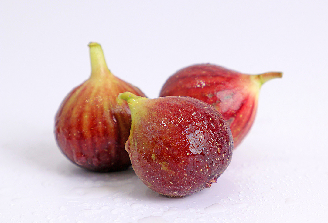 加州黑无花果丨硬币大小的无花果果实