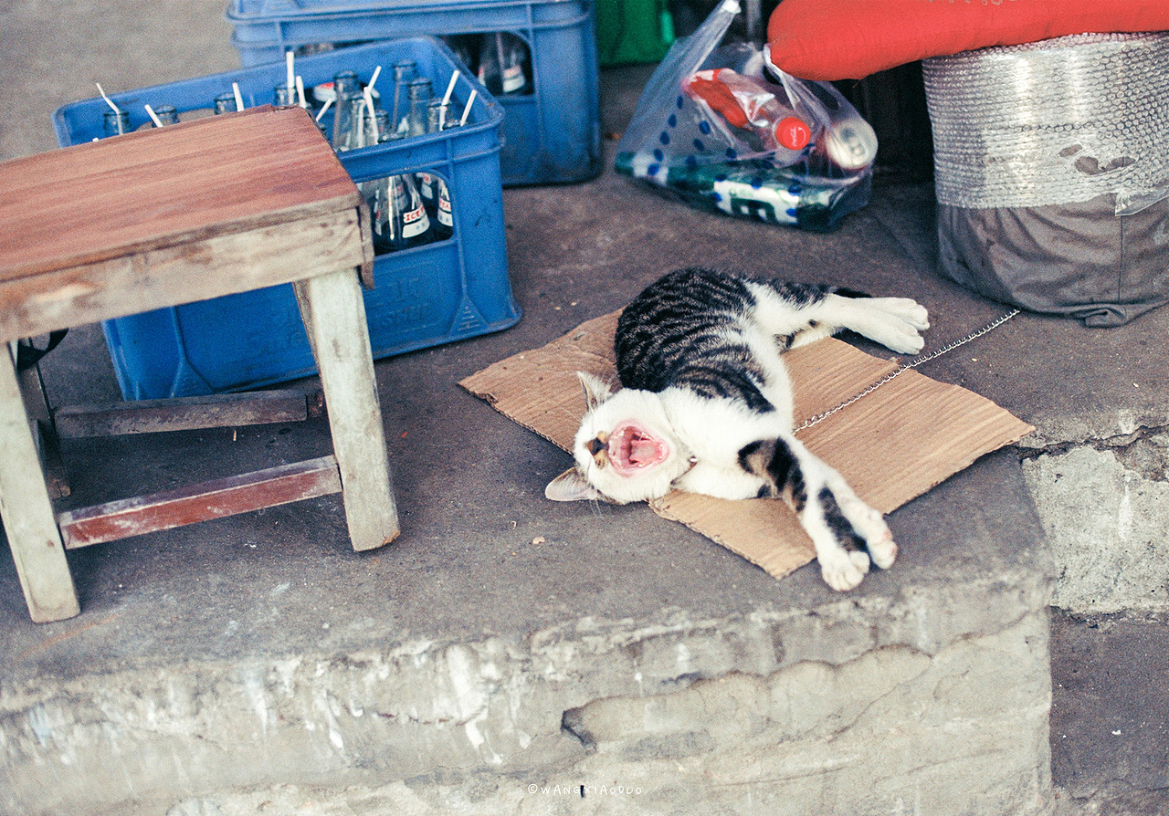 午后时光（图ZMTE4MDAzNTQ0） - 人像摄影 - 站酷设计师王小多原创素材 - 站酷ZCOOL