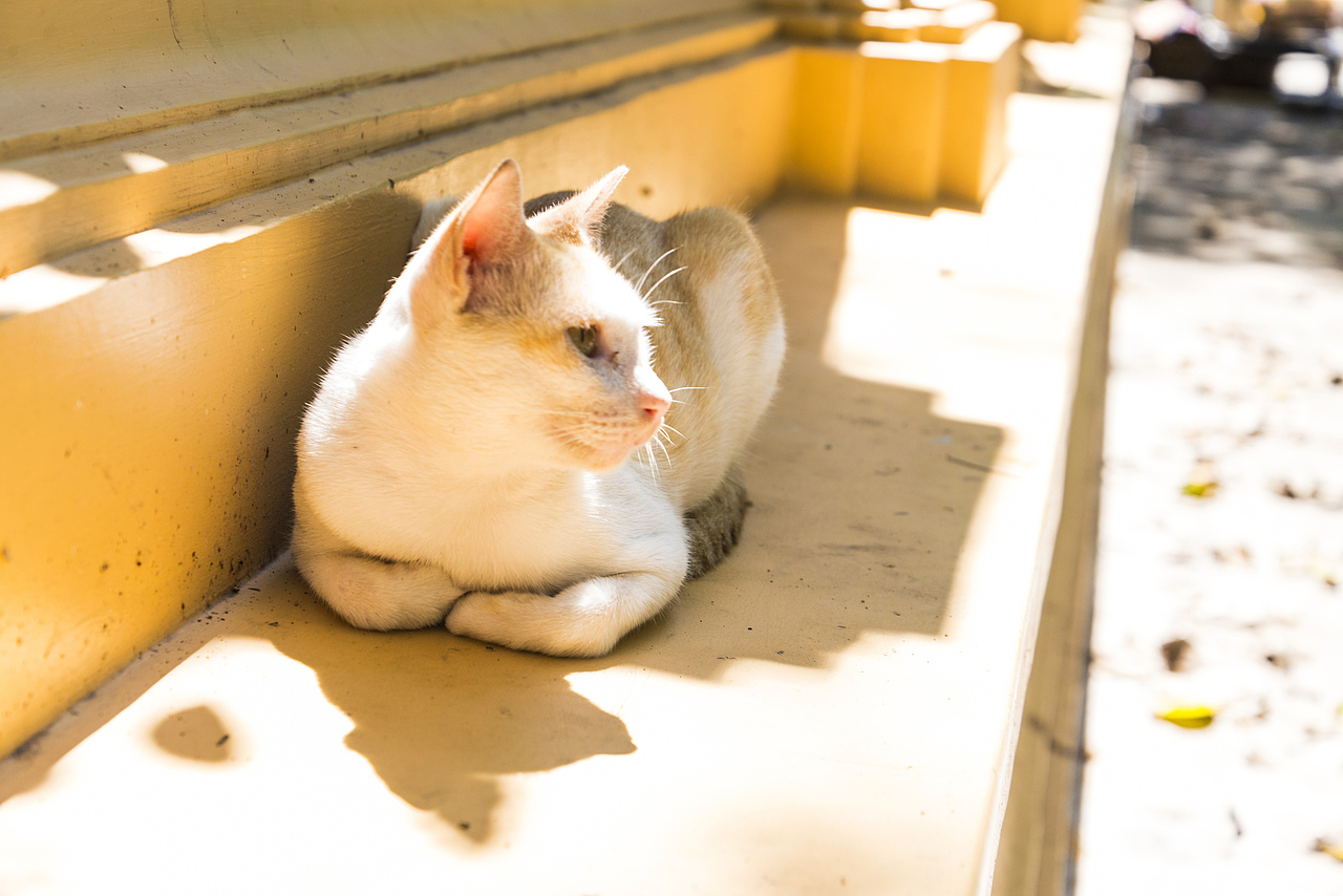 随心随意去出发。-金边漫游（一）（图ZMTMyNDQxODg0） - 风光摄影 - 站酷设计师薄荷的冬天原创素材 - 站酷ZCOOL