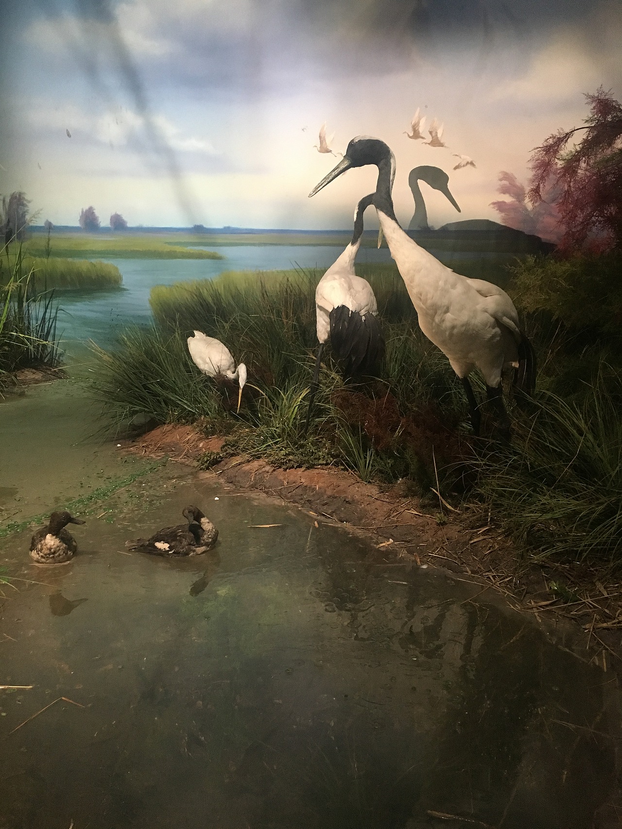 海洋博物馆（图ZMjUyMDU4ODY0） - 展陈设计 - 站酷设计师易森空间设计原创素材 - 站酷ZCOOL