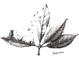 Y_Lovely手绘钢笔画《叶言》套图