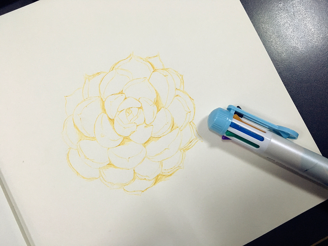 软萌多肉（图ZNjgyNjI2MDQ=） - 绘画 - 站酷设计师JAYERz原创素材 - 站酷ZCOOL