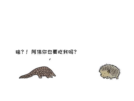 动物联萌之愿天下再无穿山甲
