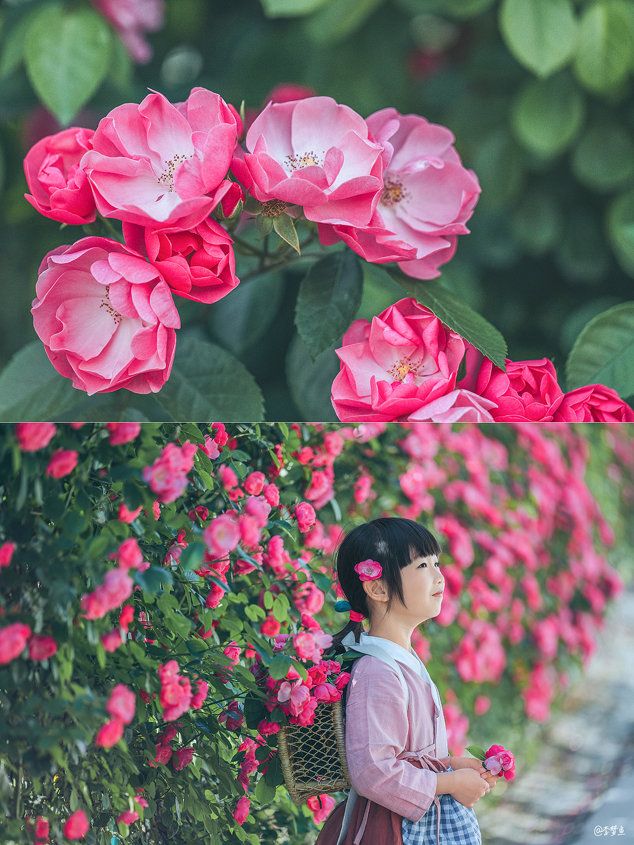有位姑娘～美好的像画一样（图ZMjU2ODkxNDM2） - 人像摄影 - 站酷设计师腰果虾仁原创素材 - 站酷ZCOOL