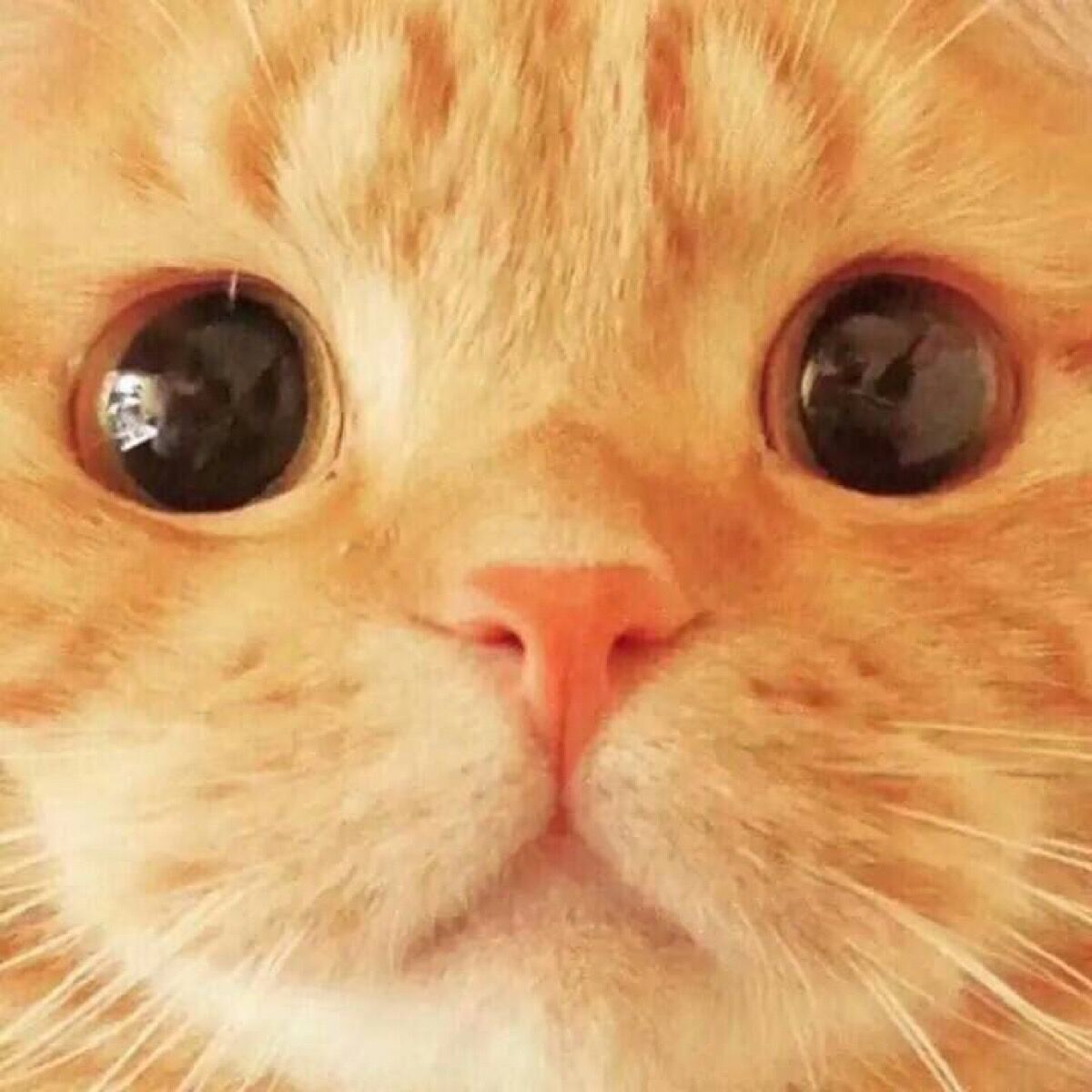 米米的恶魔的个人主页（背景预览） - 主页背景设置 - 站酷设计师米米的恶魔原创素材 - 站酷ZCOOL