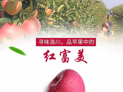 苹果详情