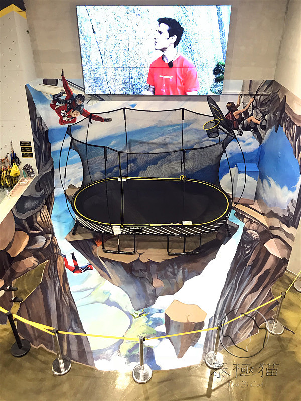 泰极猫3d立体画