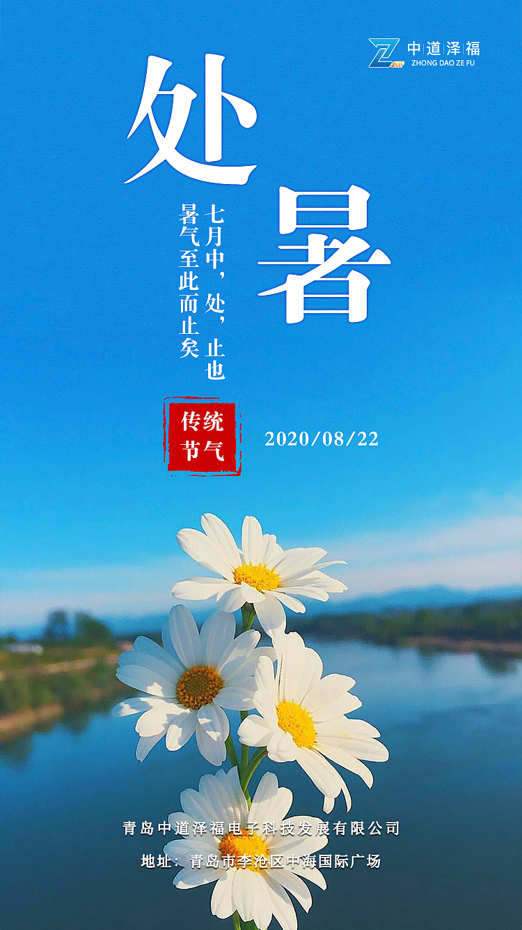 节气海报（图ZMjU1NTAzNjU2） - 海报 - 站酷设计师暮夏阳光原创素材 - 站酷ZCOOL