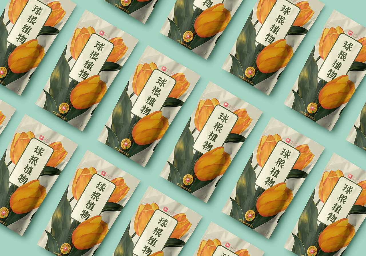 球根植物种子包装设计