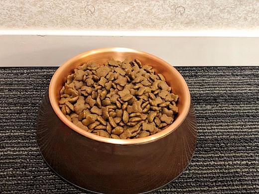 PB360新品狗粮实物图