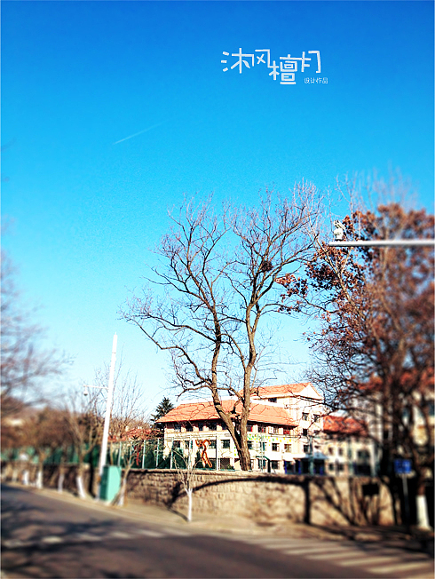 2015青岛八大关冬季手机摄影鉴赏