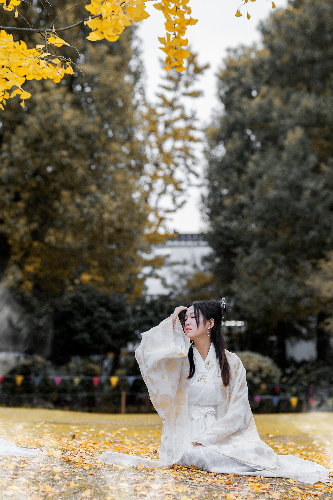 银装素裹 富贵荣华