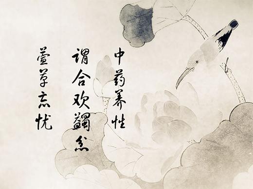 天龙御骨膏贴包装设计