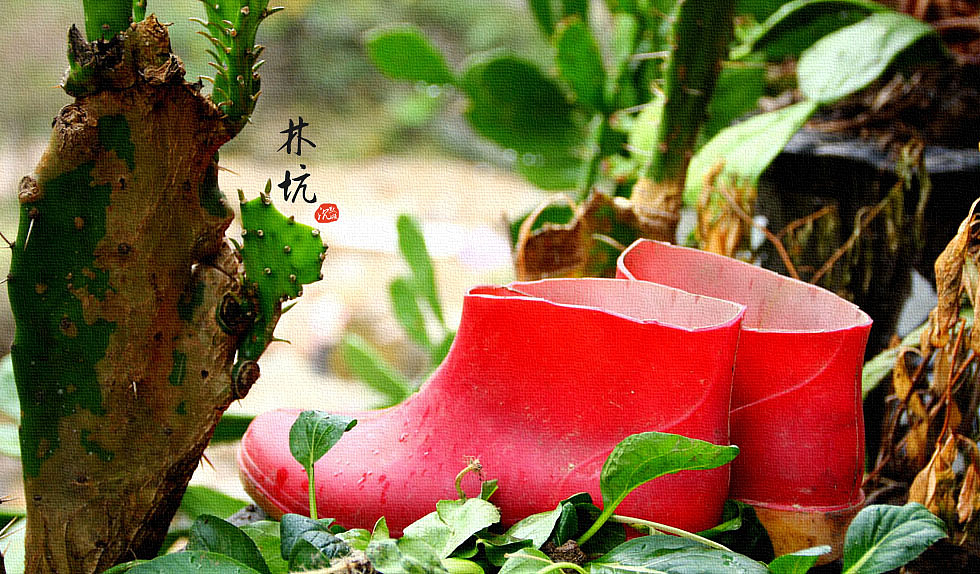 温州雁荡山 摄影作品（图ZMTM0NjQ0OTY=） - 风光摄影 - 站酷设计师黑麒麒原创素材 - 站酷ZCOOL