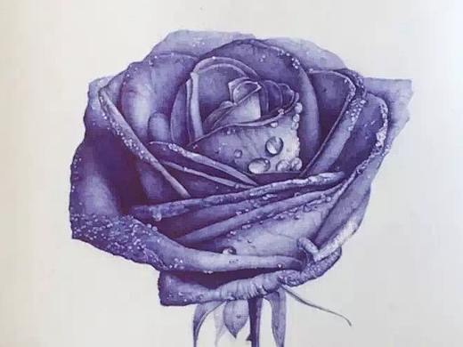 手绘（花）