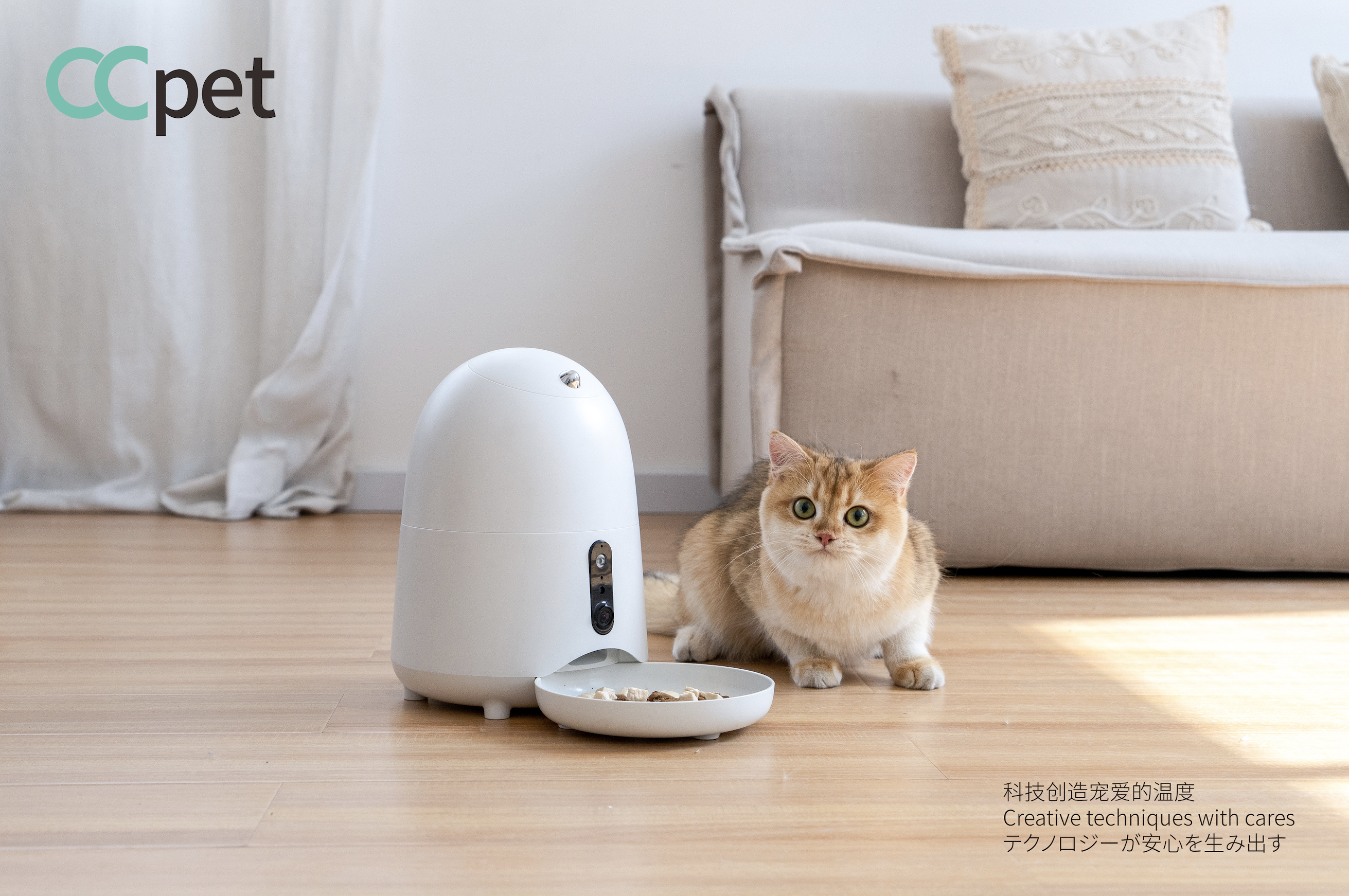 宠物产品拍摄 ccpet宠物智能喂食器自动喂食机饮水机