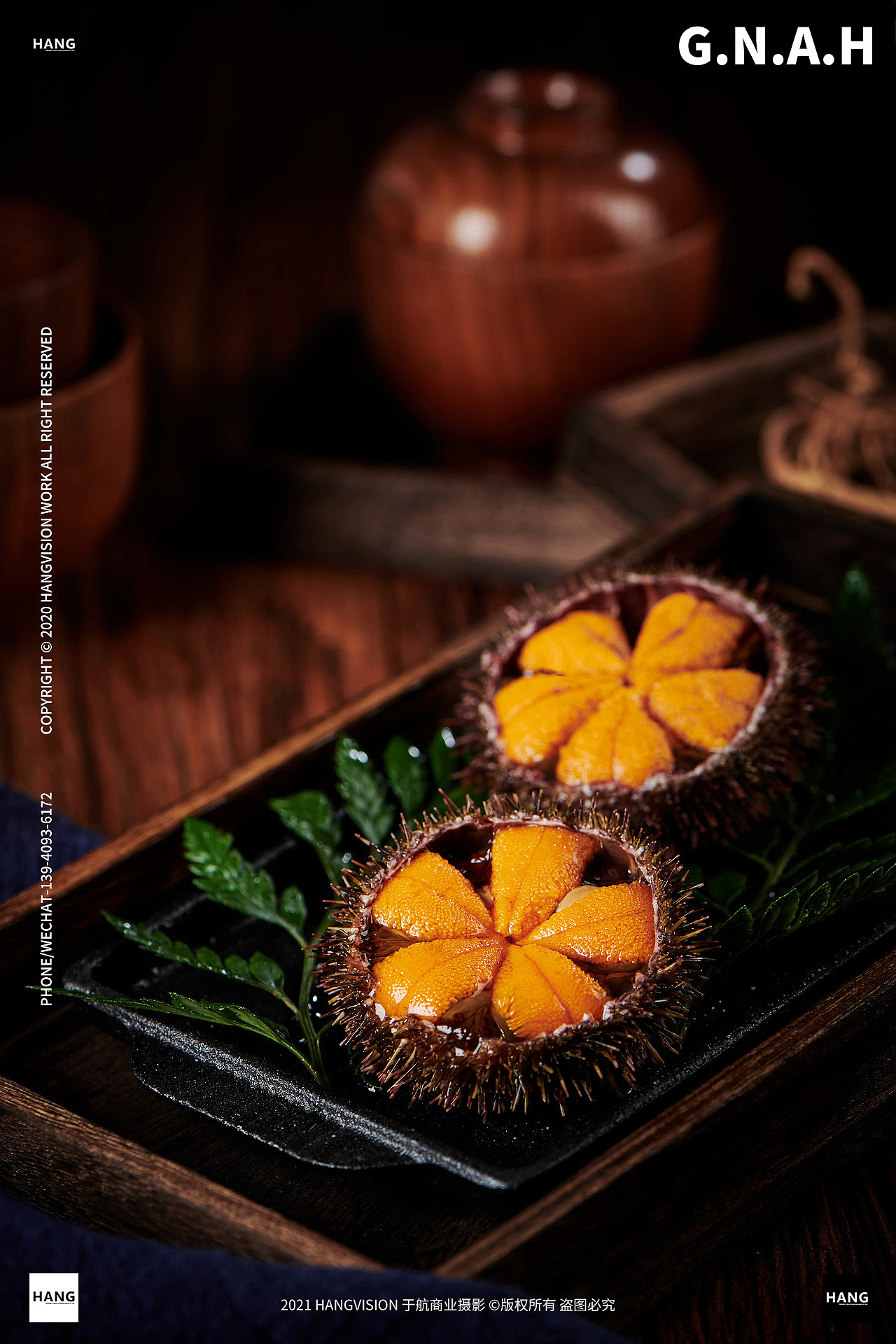 大连海鲜马粪海胆拍摄