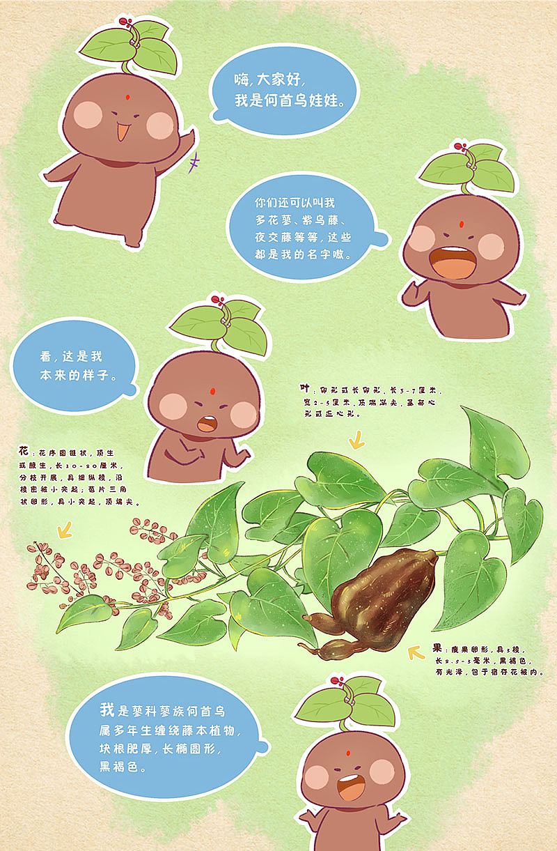 漫话中草药系列趣味漫画