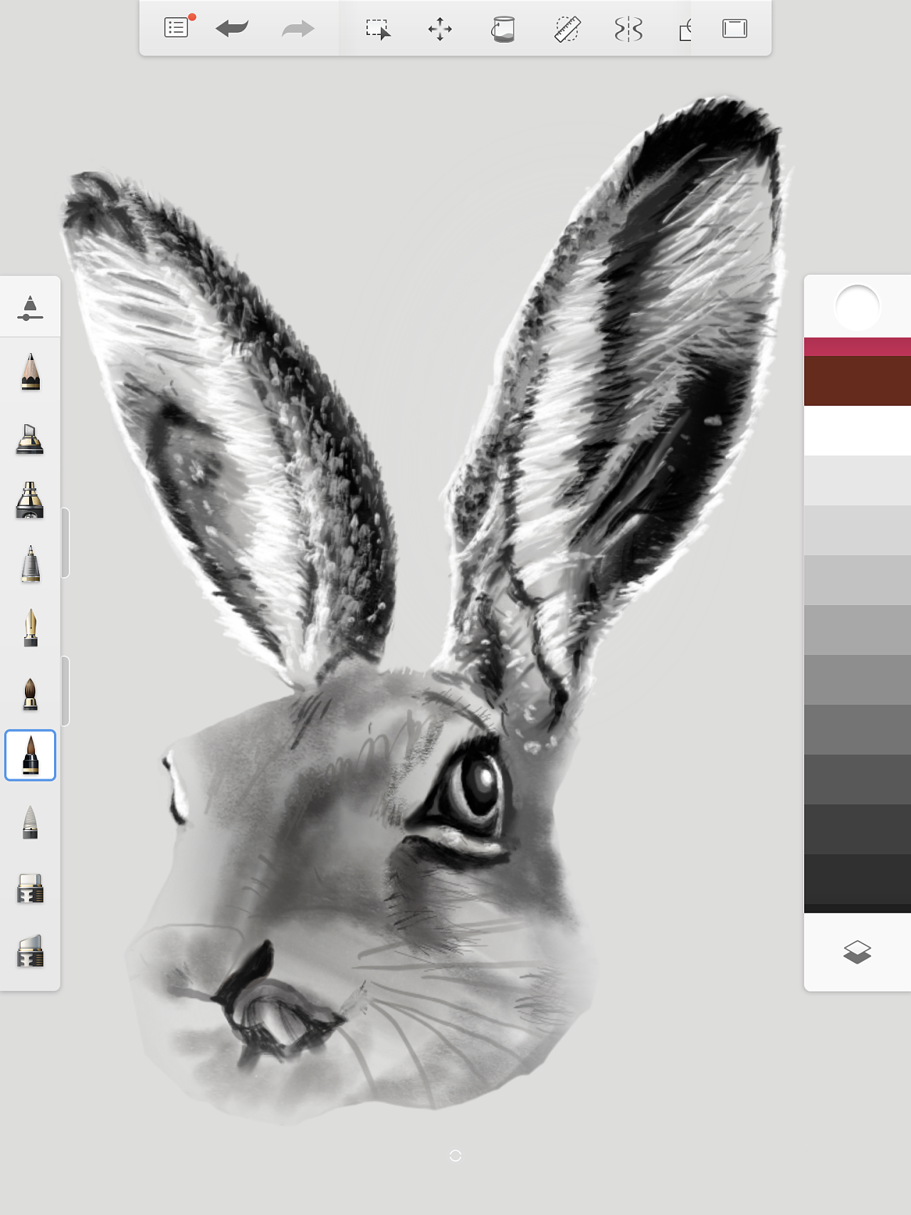 ipad手绘|四个步骤 用 ipad 素描一只野兔