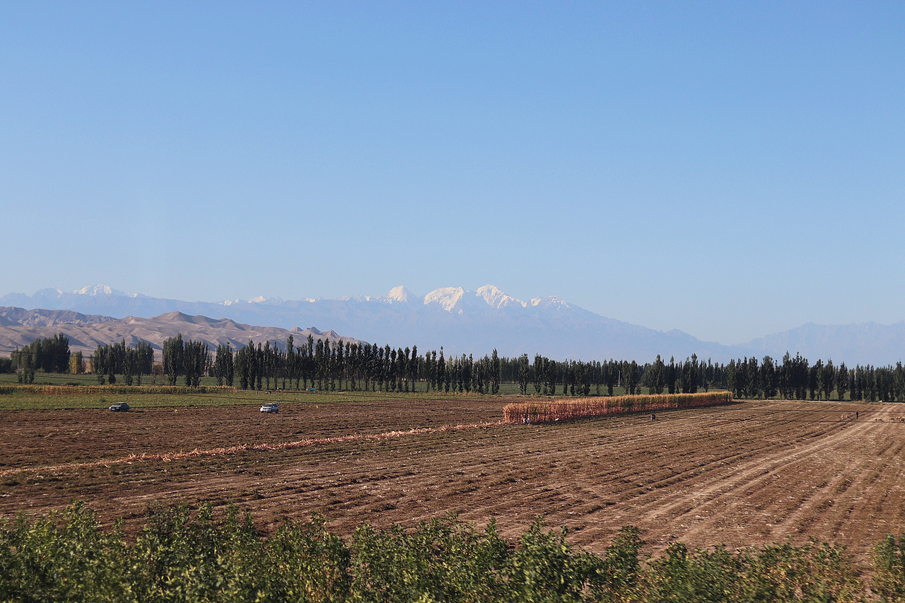乌鲁木齐 — 伊利 (越过荒漠和田野)