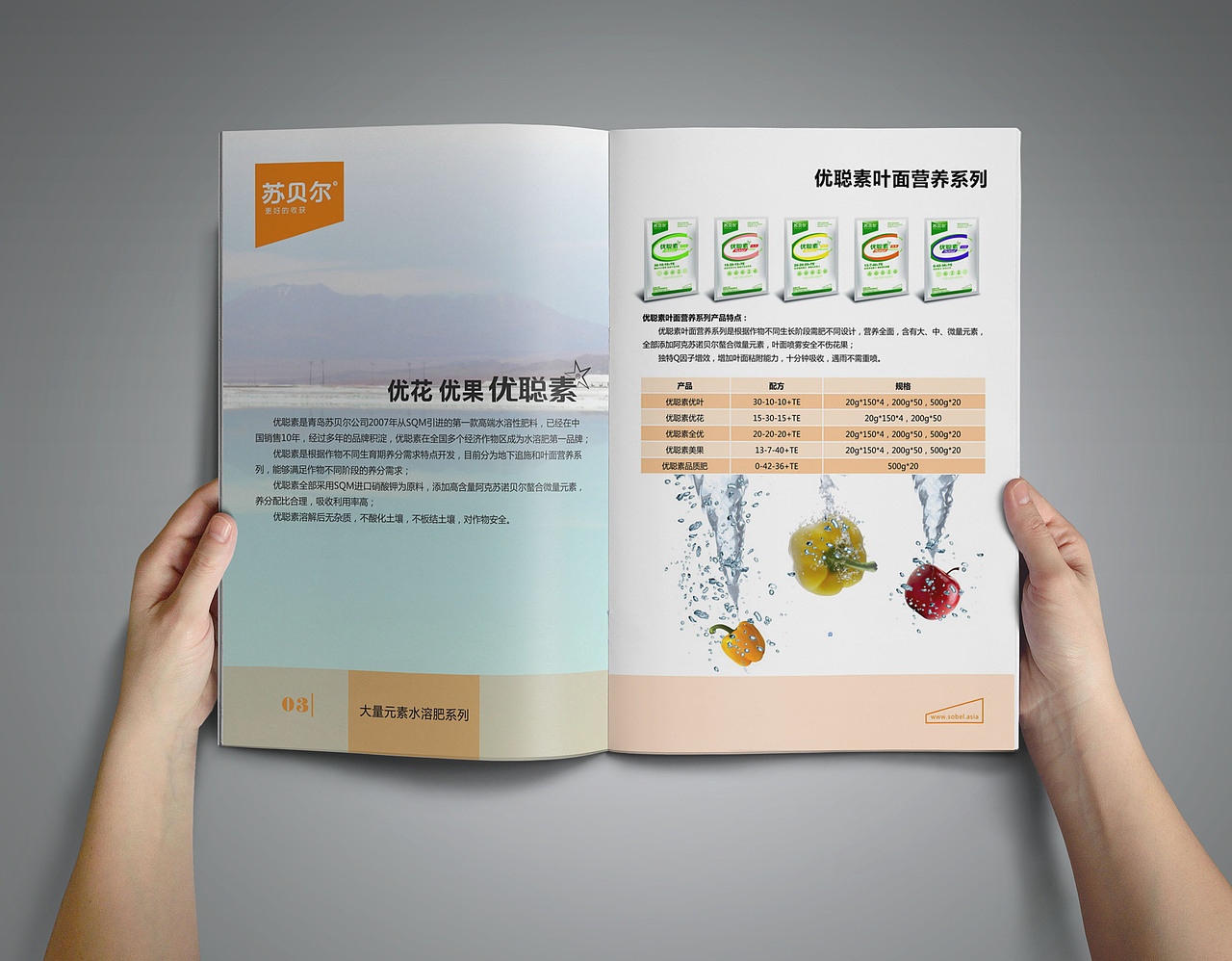 企业手册-vi形象系列