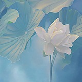 Didi菌的头像