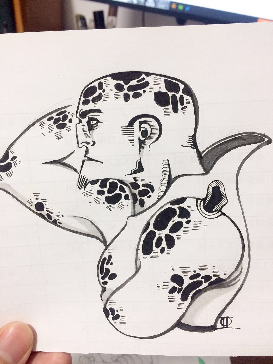 大概就是...乌龟人之类的吧