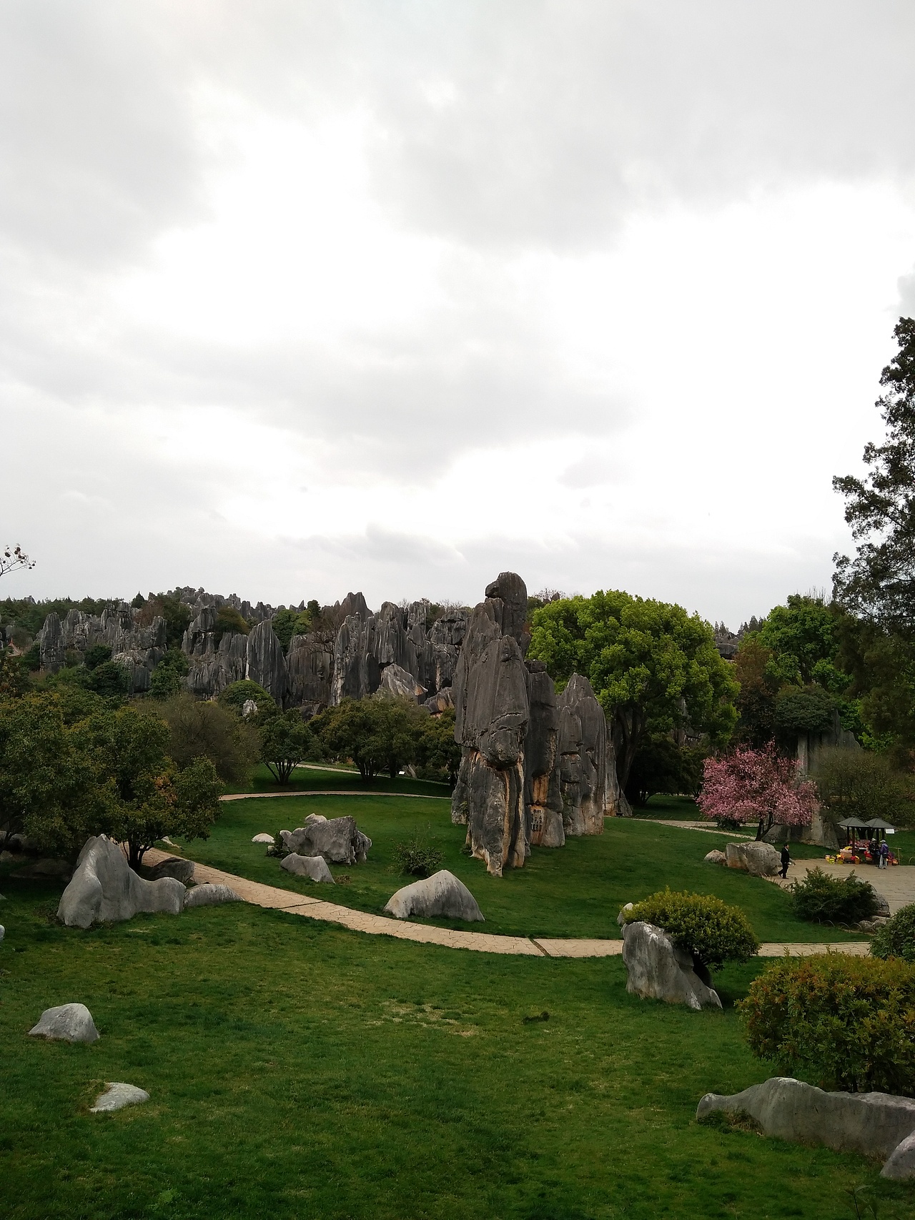 云南旅途的日常照