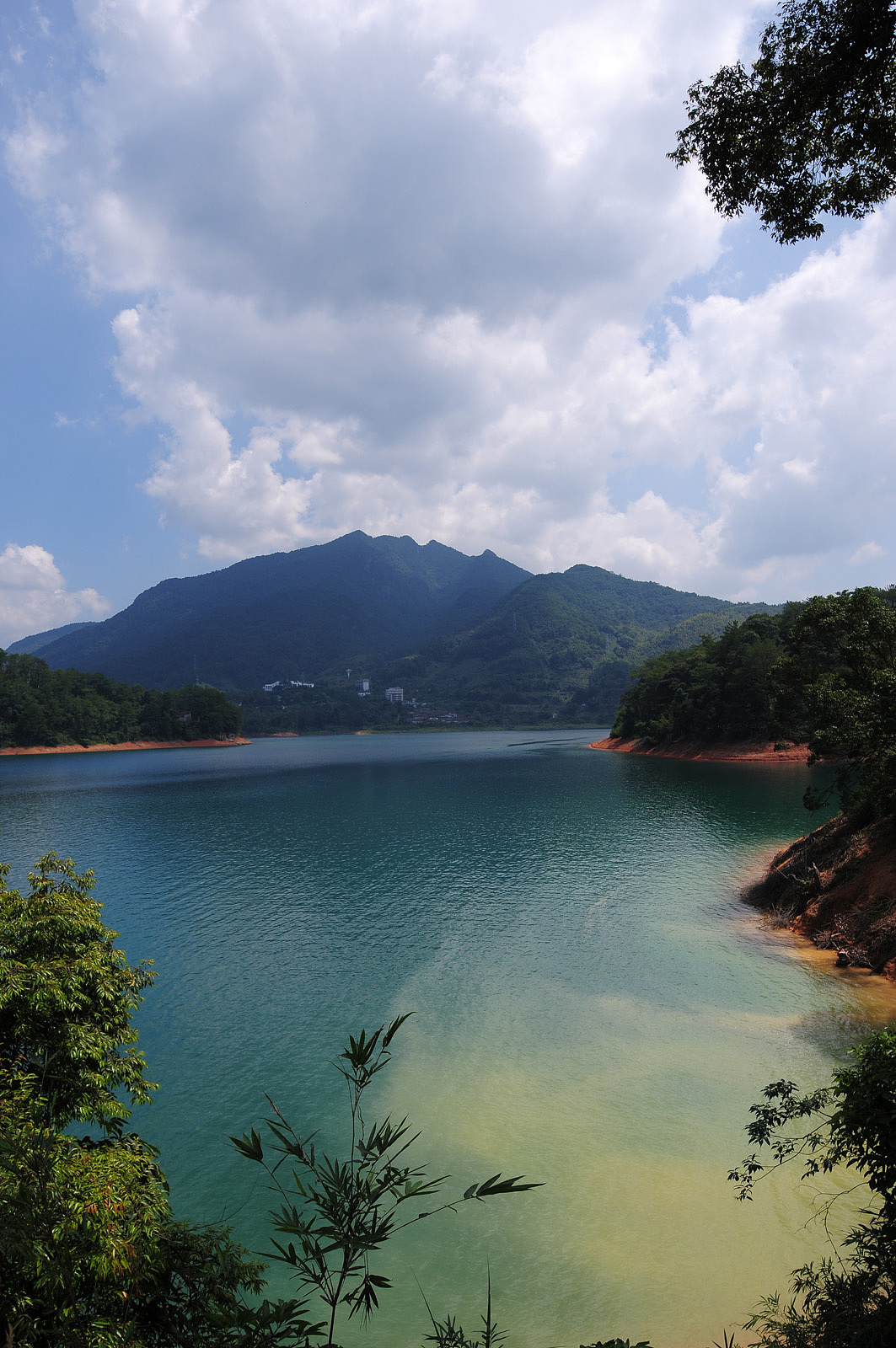 流溪河森林公园