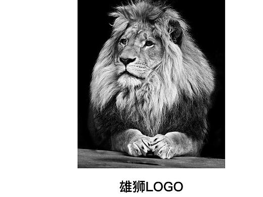 雄狮