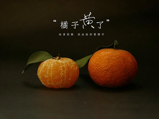 橘子摄影