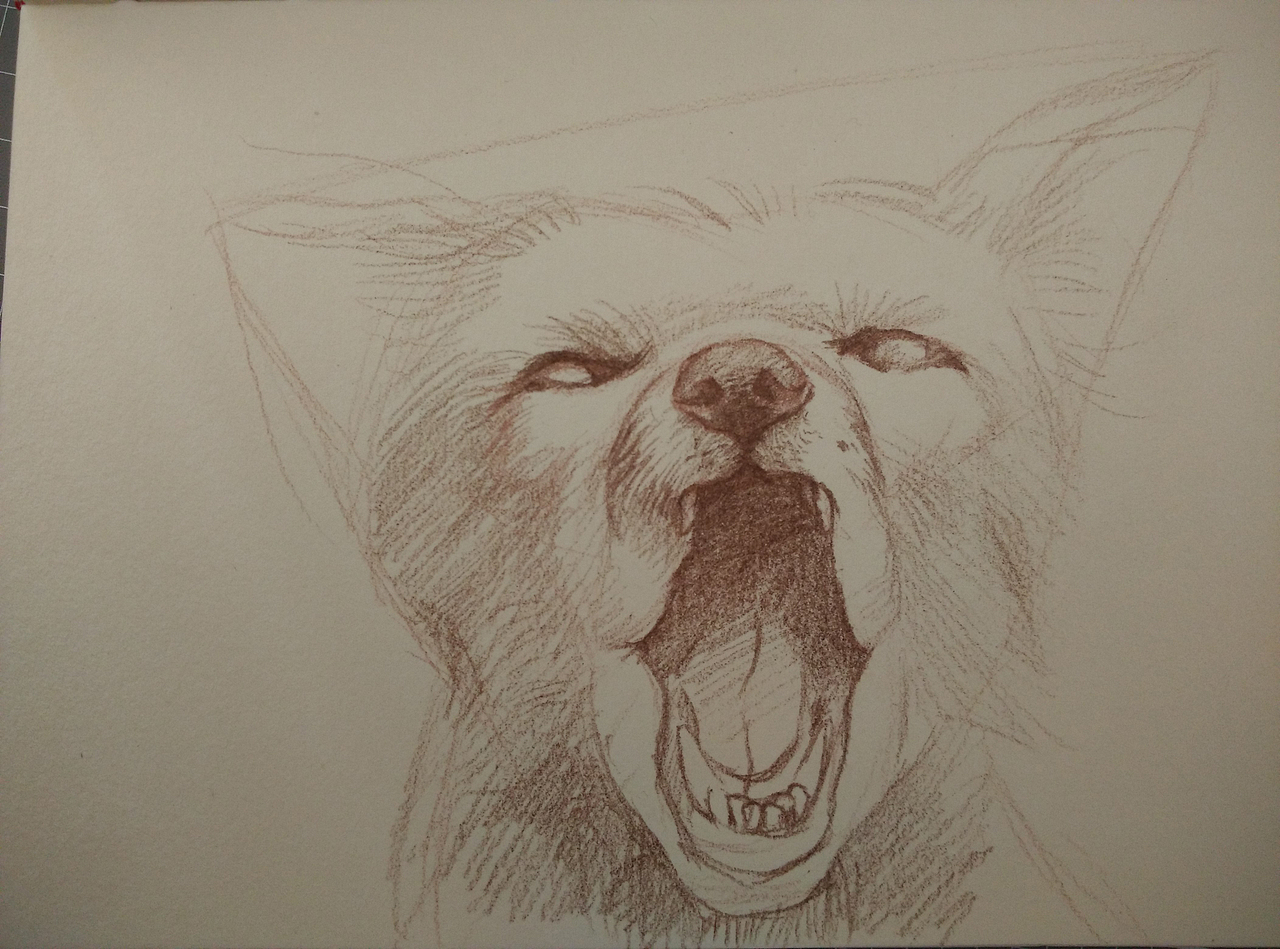 狐狸手绘（图ZMzQ5MTM2NjQ=） - 创作习作 - 站酷设计师蒋娇原创素材 - 站酷ZCOOL