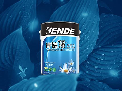 外墙漆涂料包装设计/涂料画册设计