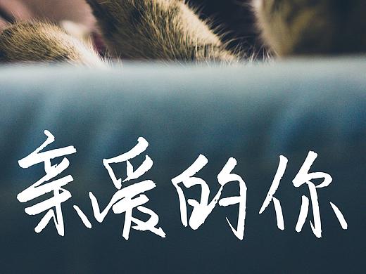 手写字体（个人主页-ZMzgyNzUwMjQ=） - 其他平面 - 站酷设计师啤酒P9原创素材 - 站酷ZCOOL