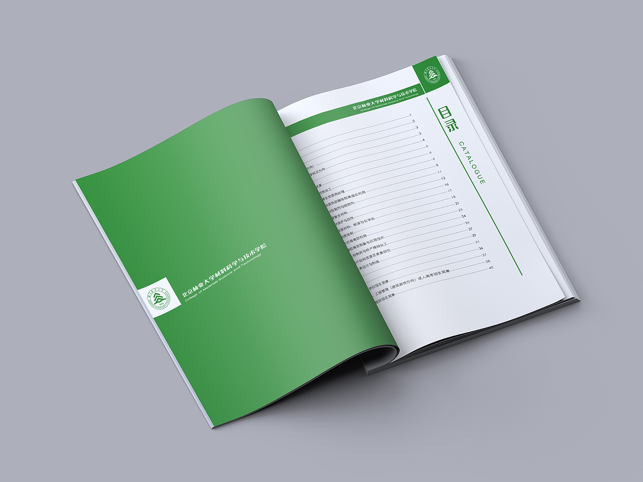 《北京林业大学材料科学与技术学院科研成果汇编》设计方案