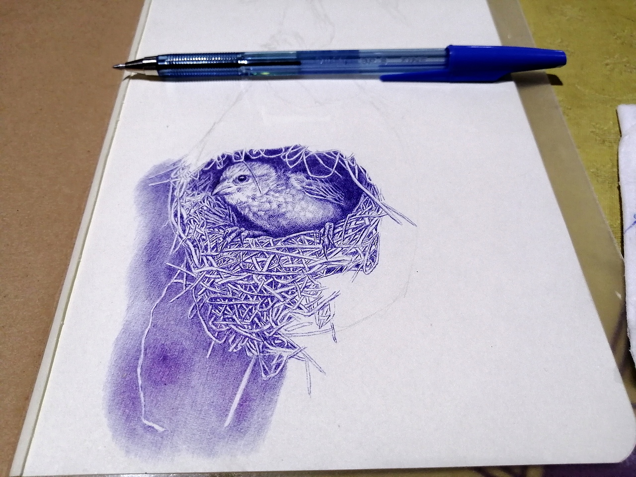 老男孩圆珠笔画《窝居》