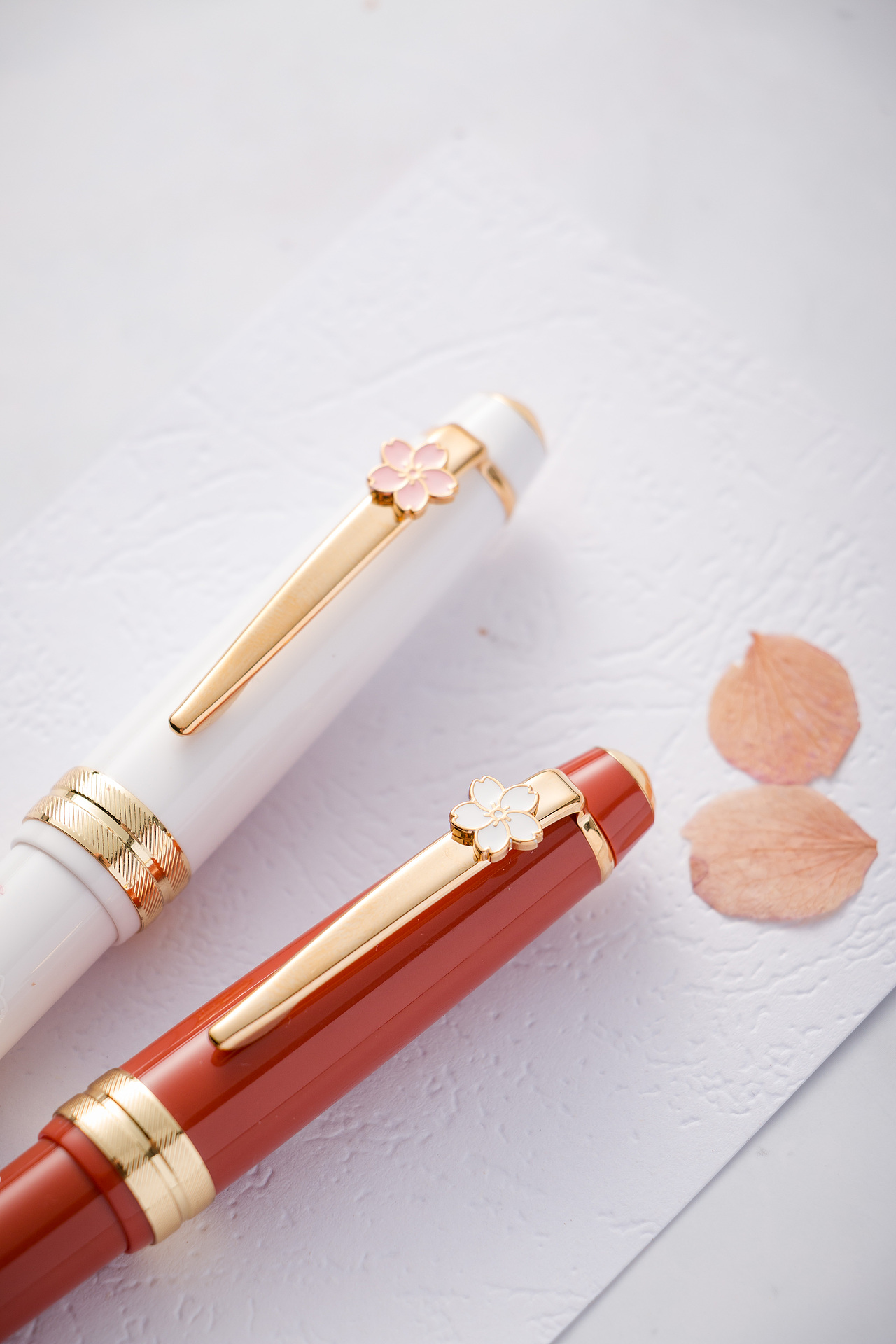 【文创】笔上生花,郁金香的优雅浪漫