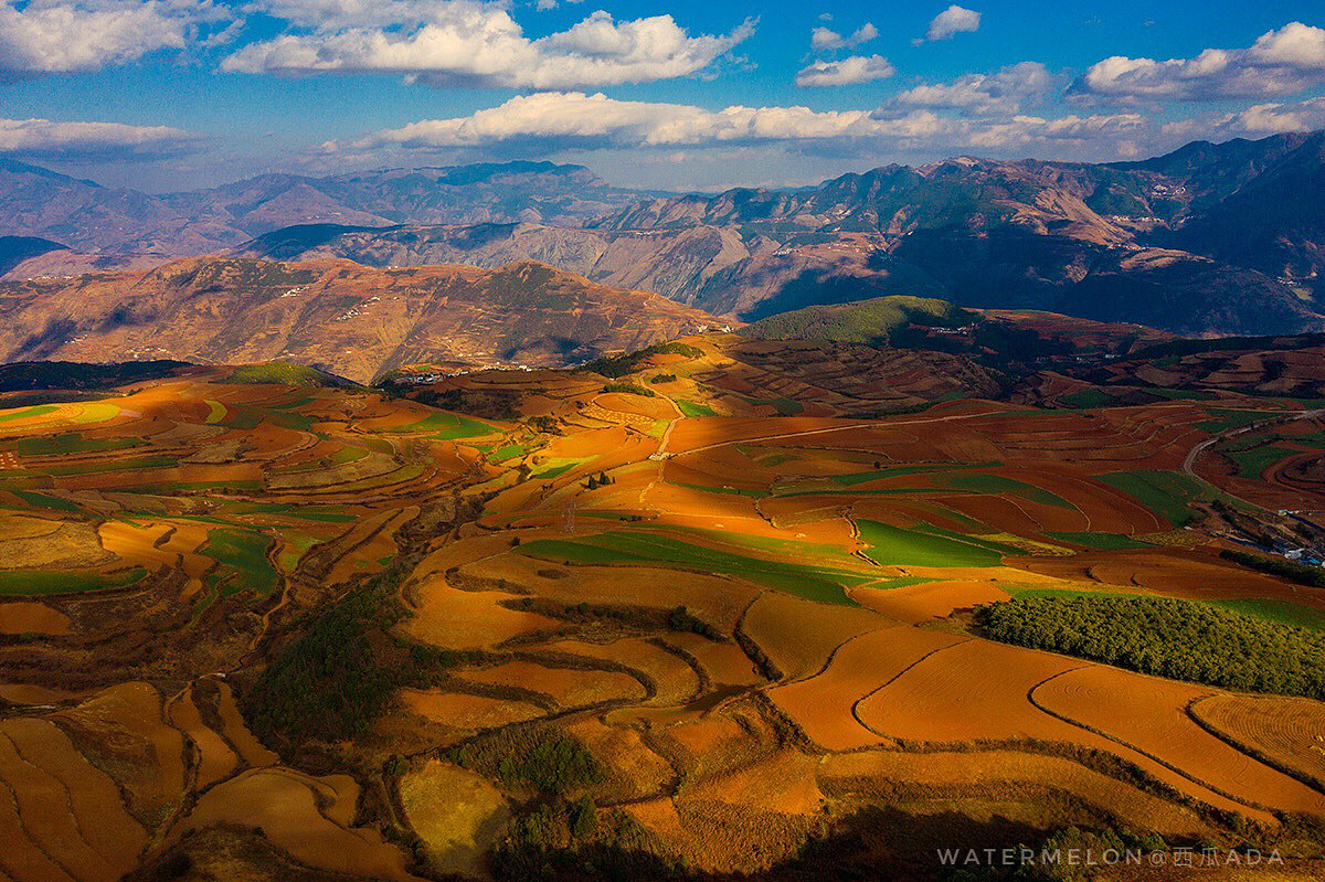 每逢佳节胖三斤（图ZMTQ0MDUyNzE2） - 产品摄影 - 站酷设计师西瓜ADA原创素材 - 站酷ZCOOL