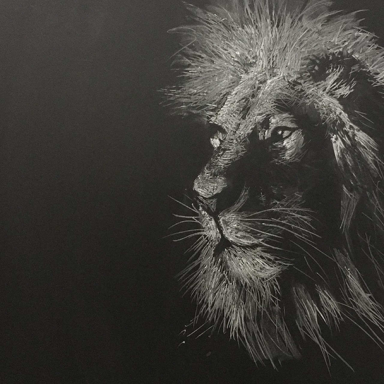 黑板粉笔画狮子王