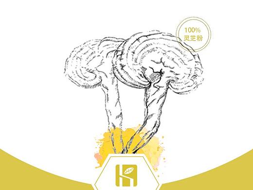 酷叶子胶囊系列