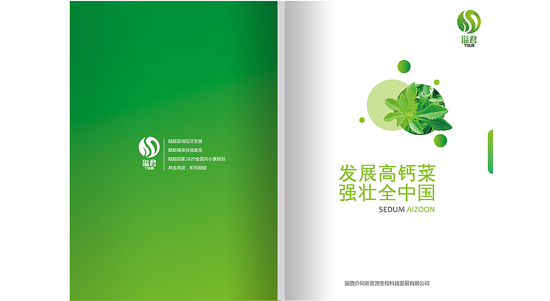 两套画册设计（图ZMTMyMDA0MDg0） - 书籍/画册 - 站酷设计师领驭品牌设计原创素材 - 站酷ZCOOL